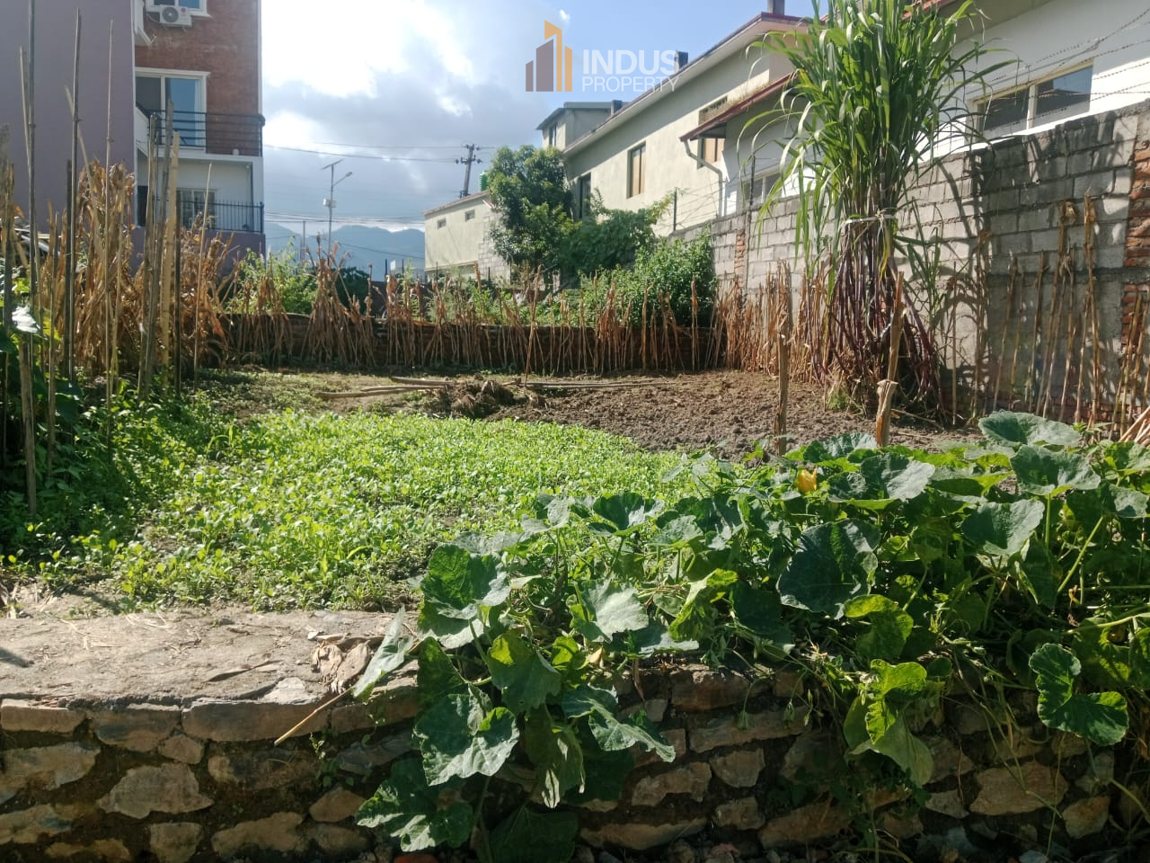 property-image